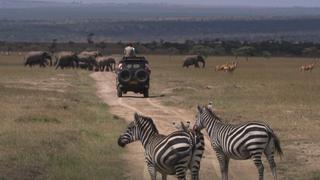 Africa Africa