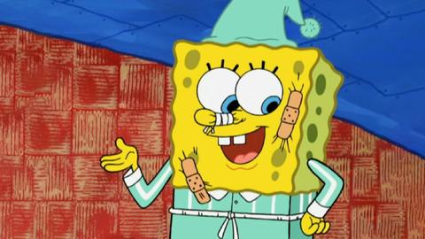 Pets or Pests; Komputer Overload