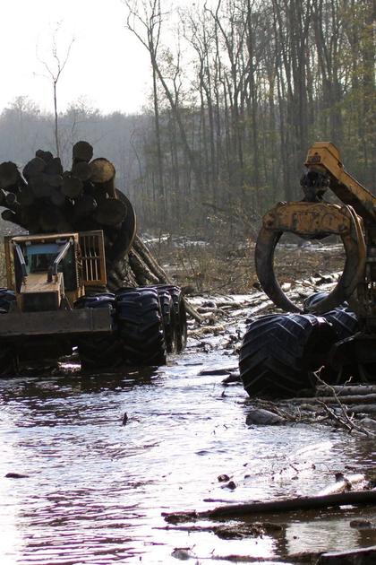 Swamp Loggers
