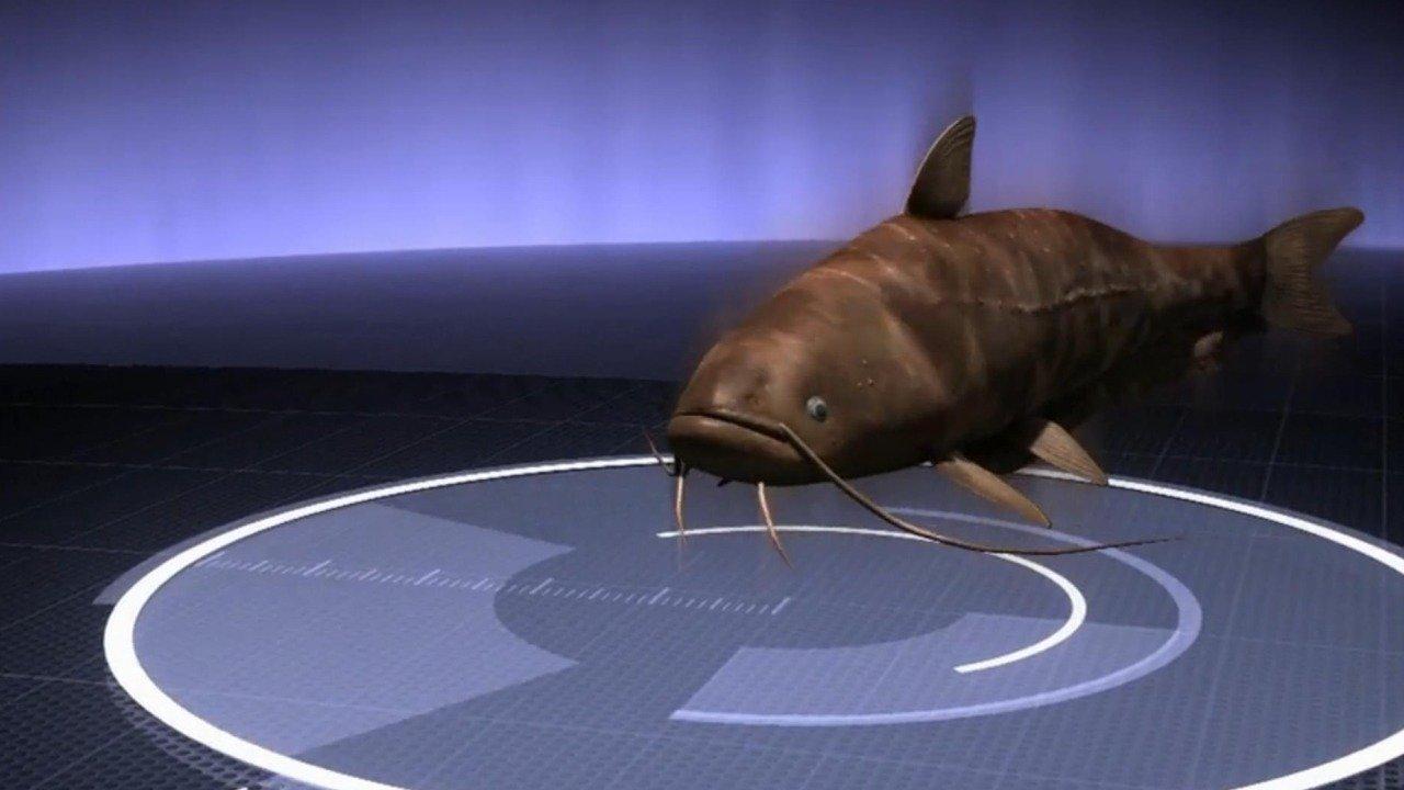 Watch MonsterQuest: S3E12 - Gigantic Killer Fish II on Philo (Free Trial)