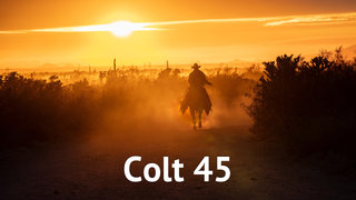 Colt 45