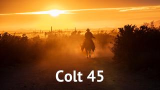 Colt 45