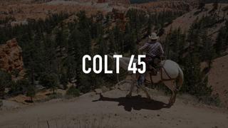 Colt 45