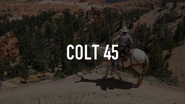 Colt 45