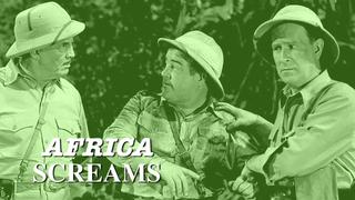 Africa Screams