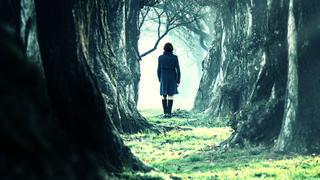 Encounter With Danger