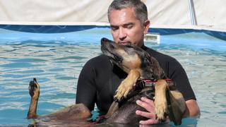 Afraid of the Bark Afraid of the Bark