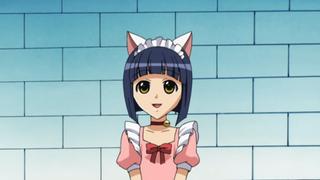 Princess Cat Tongue Princess Cat Tongue