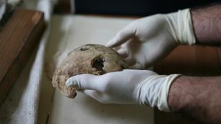 Hitler's Escape Hitler's Escape