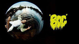 Bog