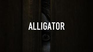 Alligator