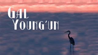 Gal Young'Un