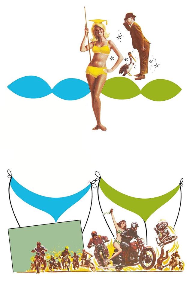 How to Stuff a Wild Bikini