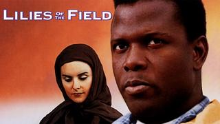 Lilies of the Field