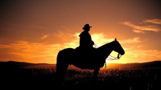 The Guns of Will Sonnett