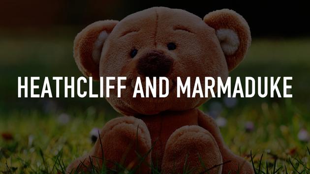 Heathcliff and Marmaduke