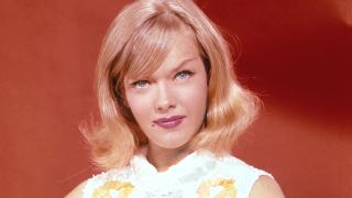 King of the Mountain King of the Mountain