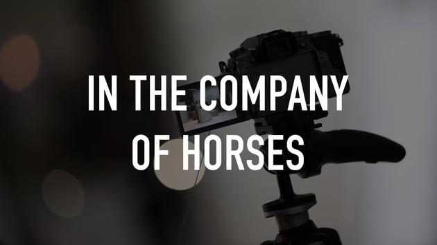 In the Company of Horses