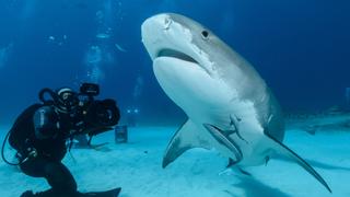 Diving the Mexican Underground; Venomous Fish; Greenland Sharks
