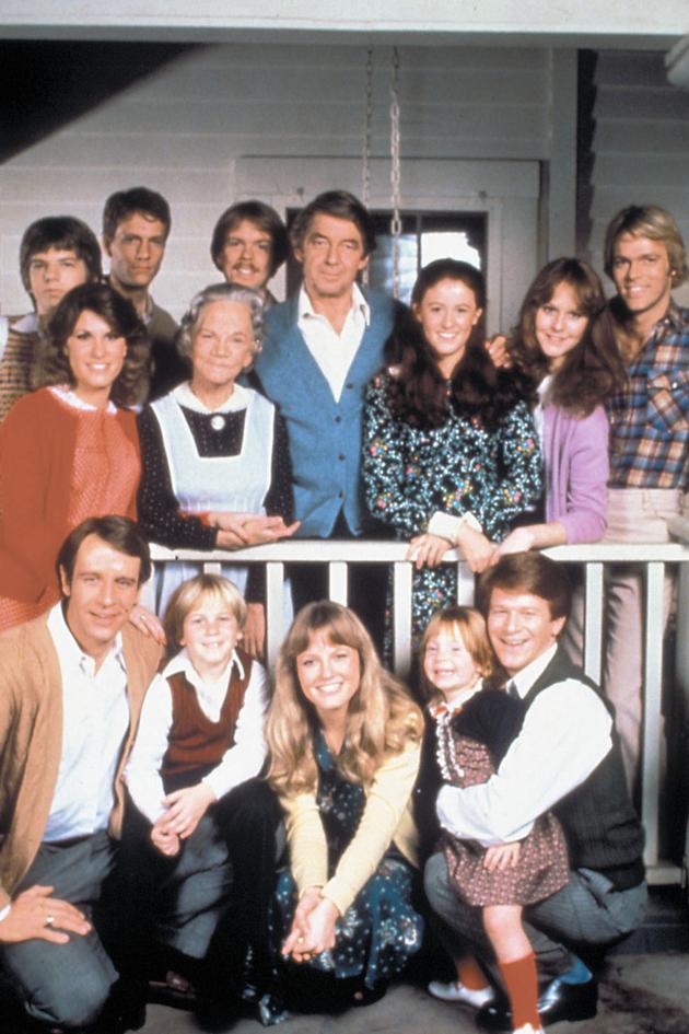 A Day for Thanks on Walton's Mountain