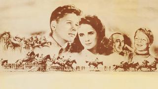 National Velvet