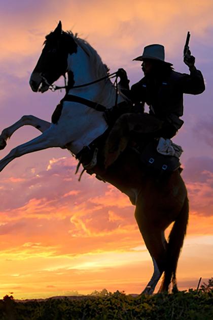 King of the Wild Horses