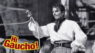 Hi, Gaucho!