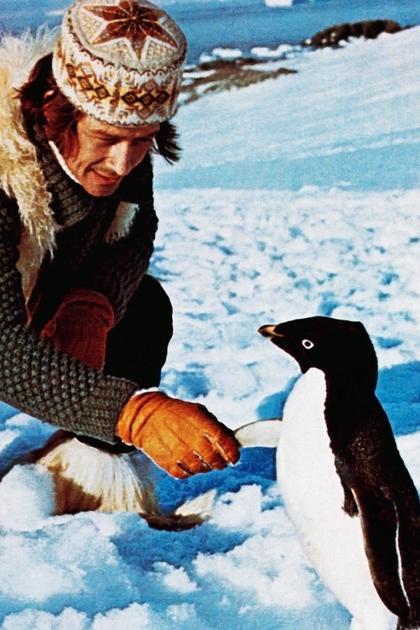 Mr. Forbush and the Penguins