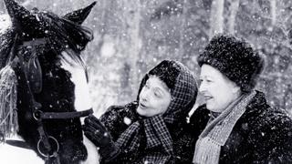 The Homecoming: A Christmas Story