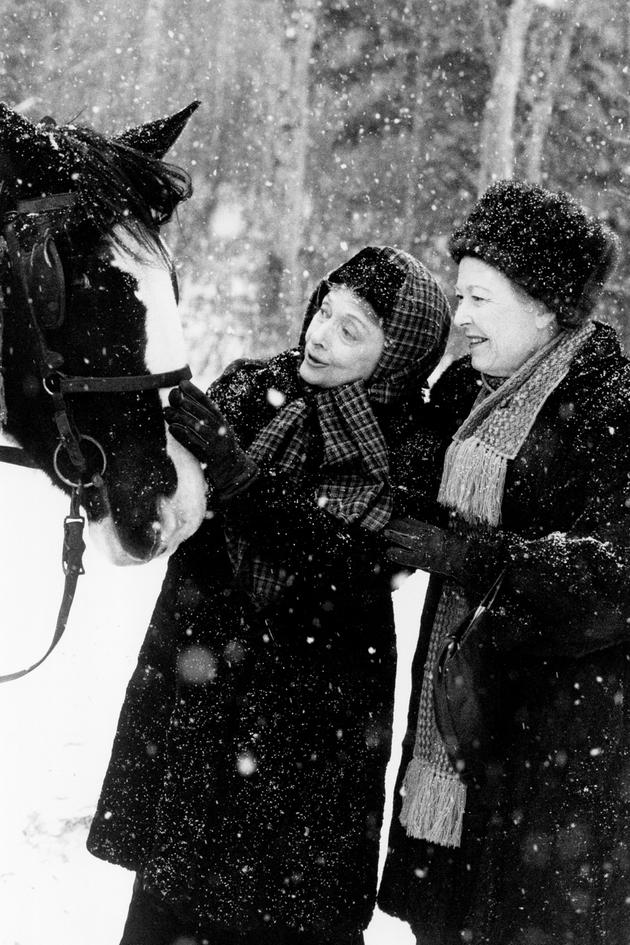 The Homecoming: A Christmas Story