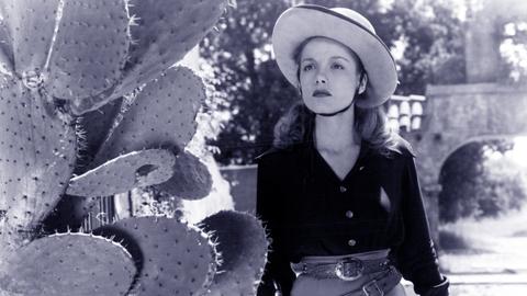 Shadows on the Range