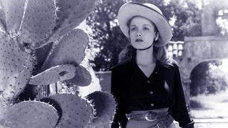 Shadows on the Range