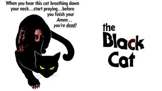 The Black Cat