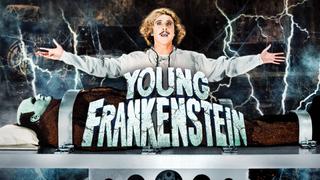  watch Young Frankenstein