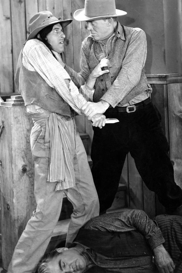 Courage of the North