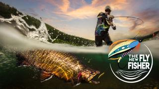 The New Fly Fisher