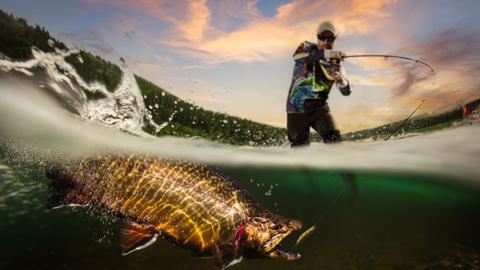 Bahamas Bonefish