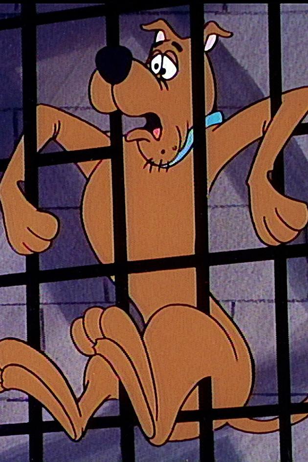 The New Scooby-Doo Movies