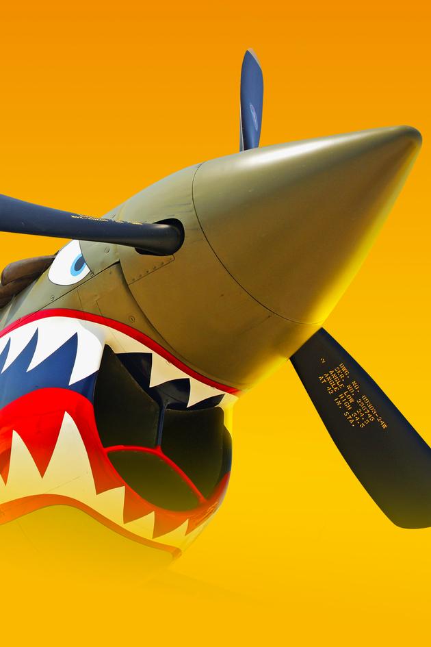 The Real Flying Tigers