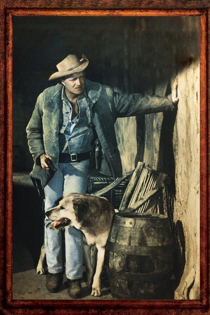 The Westerner