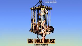  watch The Big Doll House