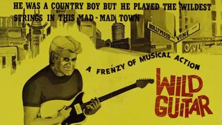 Wild Guitar
