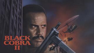 The Black Cobra 2