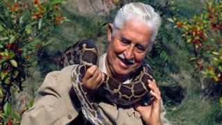 Mutual of Omaha's Wild Kingdom