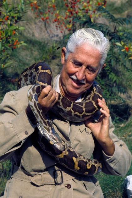 Wild Kingdom
