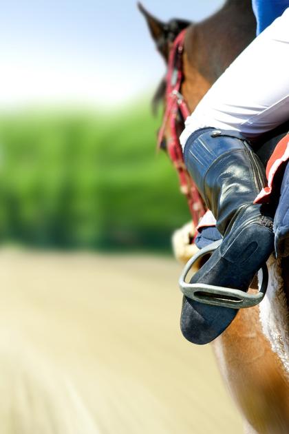 FEI World Championships