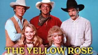 The Yellow Rose