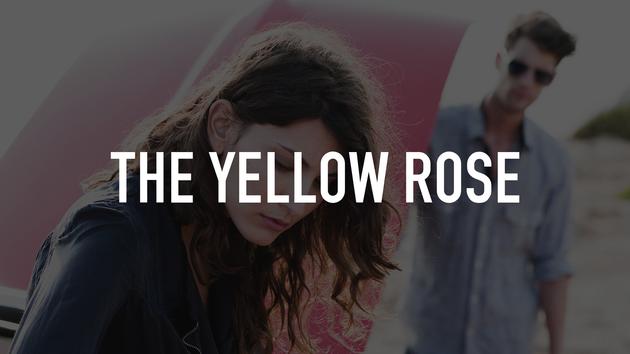 The Yellow Rose