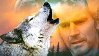 Call of the Wild
