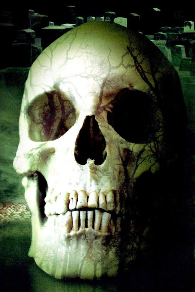 From Beyond the Grave